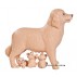 Кукольный набор Эви с собачкой и щенками Steffi & Evi 5733072